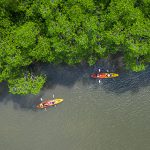 Kayaking Mangroves 724x426 1